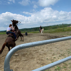 Meet your Posher, Ykitzabz09